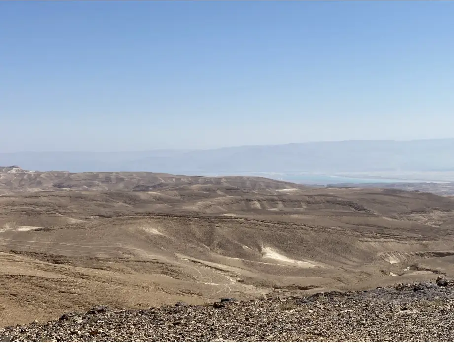 נוף מדברי עצום וצחיח נמתח עד האופק תחת שמיים כחולים צלולים. גבעות מתגלגלות של שטח חולי וחומה שולטות בסצנה, עם קווי מתאר של הרים מרוחקים בקושי נראים ברקע המעורפל - מראה שלוכד את רוחם של מטיילים בישראל חוקר יופי בתולי.
