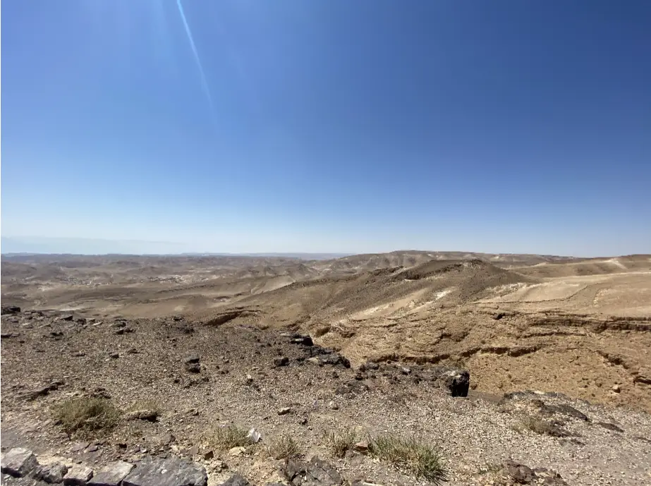 נוף מדברי צחיח תחת שמיים כחולים צלולים עם צמחייה דלילה ושטח סלעי. גבעות מתגלגלות משתרעות למרחקים. אור השמש מטיל זוהר חם על הסצינה ומציע חוויות בטבע בישראל בלתי נשכחות, מושלם לכל בלוג טיולים בארץ המחפש השראה.