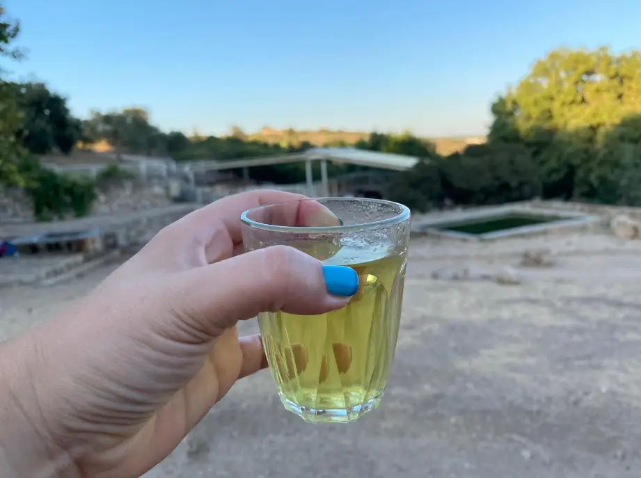 יד מעוטרת בלק כחול מחזיקה באלגנטיות כוס נוזל ירוק, על רקע יופי טבעי בצפון. הסצנה כוללת עצים שופעים, שמיים בהירים ומבני אבן עתיקים - מושלם עבור אלה שמחפשים אטרקציות בהרפתקה הבאה שלהם.