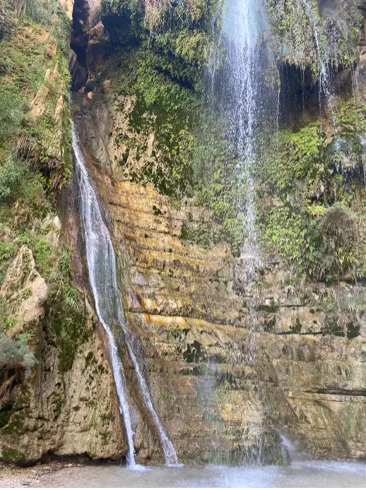 מים זורמים במורד צוק סלעי מכוסה אזוב ירוק וצמחייה, ויוצרים מפל ציורי לתוך בריכה קטנה למטה. הנוף הטבעי השליו הזה הוא אחד מני החוויות בטבע בישראל שיוצרות הרפתקה בלתי נשכחת.