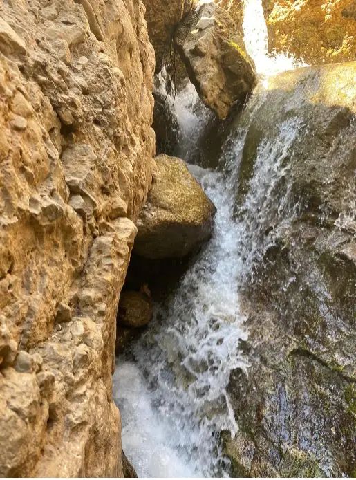 מפל קטן נופל במורד נוף סלעי, מקום אידיאלי לטיולים בצפון הארץ. אור השמש מדגיש את המרקמים המחוספסים של האבנים שמסביב, ויוצר ניגוד למים החלקים והזורמים. אזוב מכסה חלקית את הסלעים, ומוסיף נופך של ירק למקום מומלץ לטיול זה.