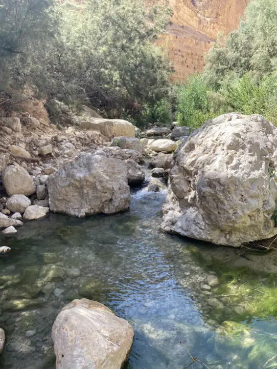 נחל שליו זורם בנוף סלעי, מוקף סלעים גדולים וירק שופע. הסצנה השלווה הזו יכולה להופיע בקלות בכל בלוג טיולים בארץ, שכן המים משקפים את השמים הצלולים בעוד עצים ושיחים לאורך הגדות, ויוצרים מקום מומלץ לטיול אידיאלי.