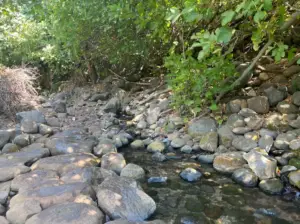 נחל קטן זורם על סלעים חלקים מתחת לחופה של עצים ירוקים במקום השליו הזה למטיילים בישראל. אור השמש מסתנן דרך העלים, מטיל אור מנומר על המים והאבנים, ויוצר סצנה שלווה וטבעית של צללים ונקודות בהירות.