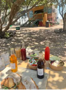 שולחן עץ מתחת לעצים גדולים מחזיק קרואסונים, משקאות בבקבוקים צבעוניים וקערות עם סלט ופירות ליד בקתה כפרית בצפון. אור השמש מסתנן דרך העלים, מטיל צללים על הקרקע - מושלם לרגע טיולים בצפון הארץ.