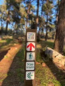 שילוט שבילים ביער עם מספר סמלים: לוגו כחול וירוק, חץ אדום המצביע קדימה, אייקון מטייל, טקסט בעברית וספירלה ירוקה. השביל ממוסגר על ידי עצים וסלעים, כאשר אור השמש מסתנן דרכו - מקום מושלם לטיולים בצפון הארץ בתוך טבע שליו.