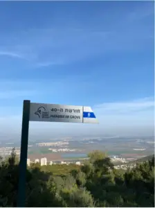 גלה תצפית נוף מרהיבה מצלע גבעה, המציג שלט לחורשת הערבים הן בעברית והן באנגלית. המקום הזה הוא אחד המקומות מומלצים לטיול, המציע נופים עוצרי נשימה של עיירה, שדות ושמים כחולים צלולים - גולת כותרת מושלמת לכל בלוג טיולים בארץ.