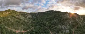 נוף מרהיב של יער ירוק שופע המכסה גבעות מתגלגלות תחת שמיים מעוננים חלקית. השמש שוקעת באופק, מטילה זוהר חם על נקודת האטרקציות הפופולרית הזו, עם שביל המתפתל בין הצמחייה הצפופה - פנינה אמיתית בין מקומות מומלצים לטיול בצפון הארץ.