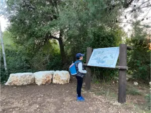 באזור מיוער מלא בעצים ירוקים צפופים וסלעים גדולים, אדם חובש כיפה כחולה, תרמיל כחול ובגדים כהים קורא שלט מידע. את הרגע השלו הזה יכול בקלות להופיע בבלוג טיולים בארץ חוקר חוויות בטבע בישראל.