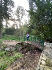 אדם עומד על גשר ירוק קטן ומעוגל מעל אפיק נחל יבש וסלעי מוקף בצמחייה עבותה ועצים גבוהים באחד ממקומות מומלצים לטיול. השמש שוקעת ברקע ויוצרת אווירה שלווה ושלווה מושלמת למטיילים בישראל.