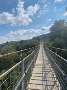 גשר תלוי ארוך משתרע על יער ירוק ושופע, המוביל לעבר אופק מרוחק מתחת לשמים בהירים ומעוננים חלקית. לגשר יש מעקות מתכת וכבלי חבלים, המובילים את מטיילים בישראל בנוף הטבעי היפה הזה.