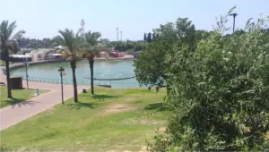 סצנת פארק ציורית עם בריכה גדולה ומזרקת מים מרכזית ממוסגרת על ידי עצי דקל וירק שופע. שביל סלול מזמין טיולים נינוחים, בעוד שרכיבות פארק שעשועים רחוקות מוסיפות ריגוש - מקום אידיאלי למטיילים בישראל המחפשים אטרקציות תוססות תחת שמיים בהירים.