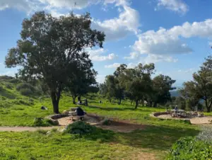 אנשים יושבים על ספסלים מוקפים בדשא ועצים תחת שמיים מעוננים חלקית. שביל מתפתל בתוך הצמחייה, עם אופניים נחים ליד ספסל אחד. הנוף ההררי והשלו הופך אותו למקום אידיאלי לבלוג טיולים בארץ, מושלם לאלו החוקרים טיולים בצפון הארץ.