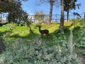 צללית של פסל צבי בשטח דשא מוקף עצים וצמחים גבוהים מזמינה את חובבי טיולים בצפון הארץ. ברקע גדר, מתחת לשמים הכחולים העצומים והצלולים - תפאורה מושלמת למטיילים בישראל המחפשים את שלוות הטבע.