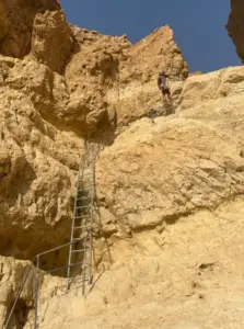 אדם מטפס על פני סלע מחוספסים באמצעות סולם מתכת, על רקע השטח הזהוב והשמים הכחולים והצלולים - הרפתקה מושלמת עבור מחפשי ריגושים. גלה עוד חוויות בטבע בישראל מלהיבות כאלה בבלוג שלנו טיולים בארץ.