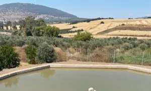 בריכה קטנה עם מים בוציים בחזית שוכנת בין עצים וגדר. מעבר לכך, שדות יבולים מתגלגלים משתרעים לעבר הר מרוחק מתחת לשמים כחולים צלולים - מקום מושלם לטיולים בצפון הארץ.