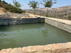מאגר מים מלבני אבן מלא במים ירוקים שוכן בנוף צחיח למחצה, מושלם למטיילים בישראל. עצים ושיחים דלילים פזורים, עם גבעות מתגלגלות ברקע מתחת לשמים כחולים צלולים, מציעים חוויות בטבע בישראל.