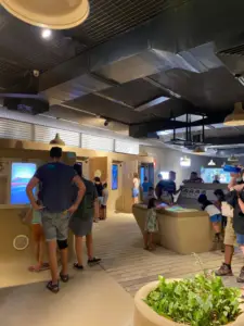 המבקרים חוקרים תערוכת אקווריום מקורה עם תצוגות ומסכים אינטראקטיביים. אורות עיליים מאירים שולחן מגע מרכזי, שובה את פני האורחים בכל הגילאים. בחזית, תצוגת צמחים קטנה מציעה רמז לטבע באטרקציה שובת הלב הזו בלב ישראל.