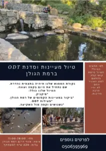 כרזה לסיור אביבי ODT בגולן בדגש על חוויות בטבע בישראל. הוא מציג תמונה שובה לב של גשר אבן ומים, עם תמונות קטנות יותר של אנשים הרפתקנים שנהנים מהאתרים. הטקסט בעברית, מספק פרטי אירוע ומספר ליצירת קשר.