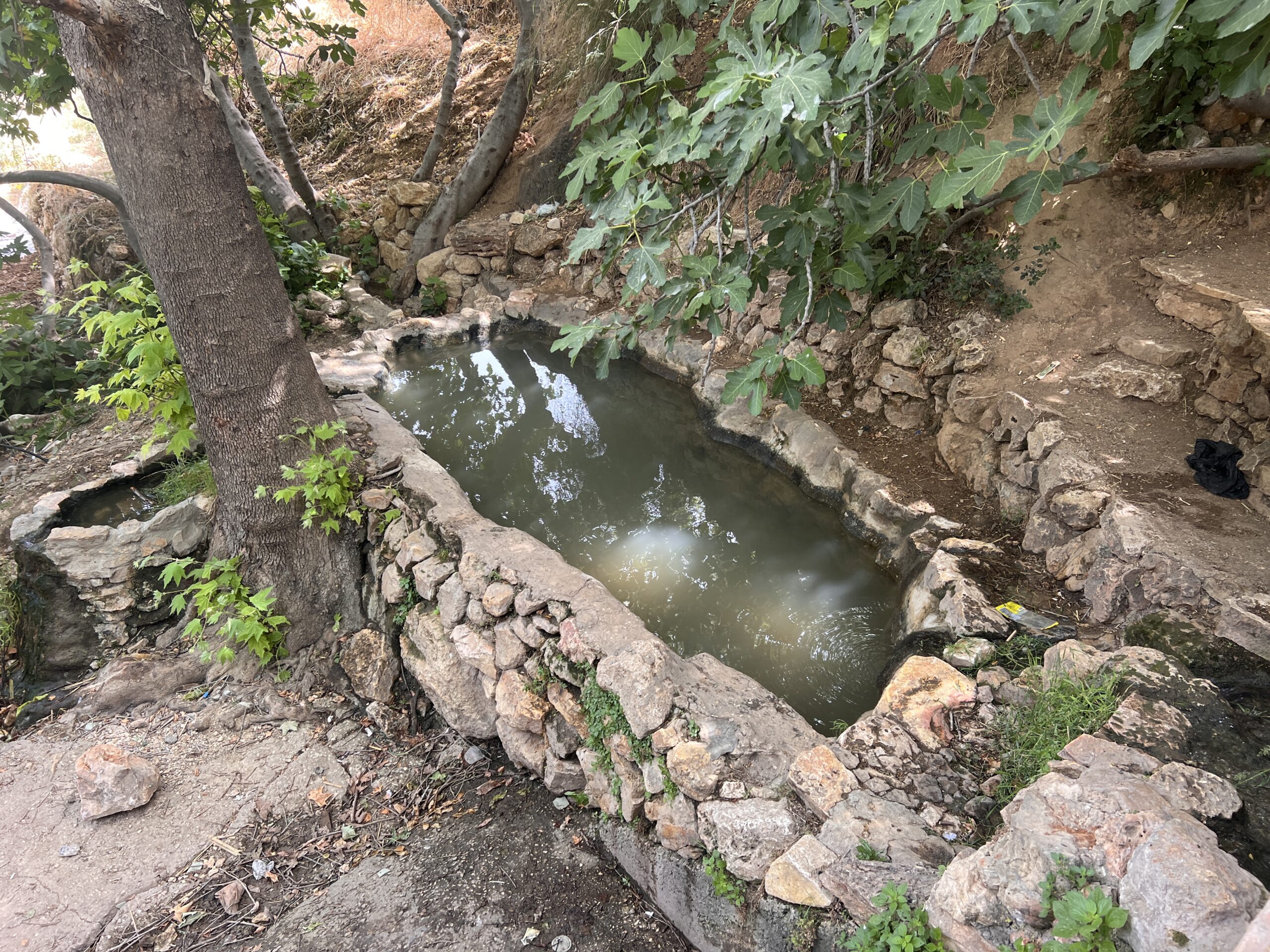 בריכת אבן קטנה וכפרית, מלאה במים עכורים, שוכנת בין עצים וירק על שביל עפר, מוקפת סלעים ומוצלת בענפים תלויים.