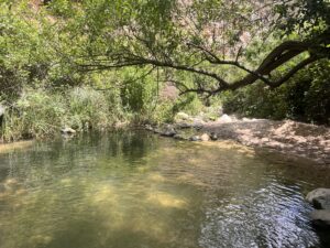נחל צלול ורדוד זורם על פני גדה חולית, מוקף בעלווה ירוקה עבותה וענפי עצים משתלשלים ביום שמש. סלעים מצפים את שפת המים ואור שמש מנומר מסתנן מבעד לעלים.