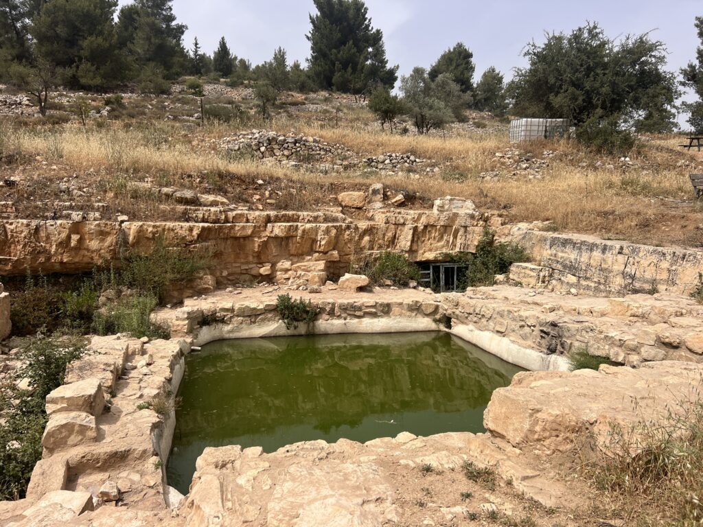 בריכת אבן קטנה ומלבנית, מלאה במים ירוקים, יושבת בנוף סלעי ועשבוני, מוקפת בשיחים ועצים, כשברקע נראים צלע גבעה ומיכל מים.