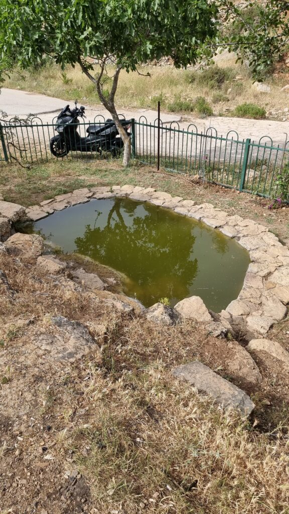 בריכה קטנה, מרופדת באבנים, עם מים ירוקים, מוקפת בעשב יבש ותוחמת בגדר מתכת. ברקע נראים עץ וקטנוע שחור חונה ליד כביש.