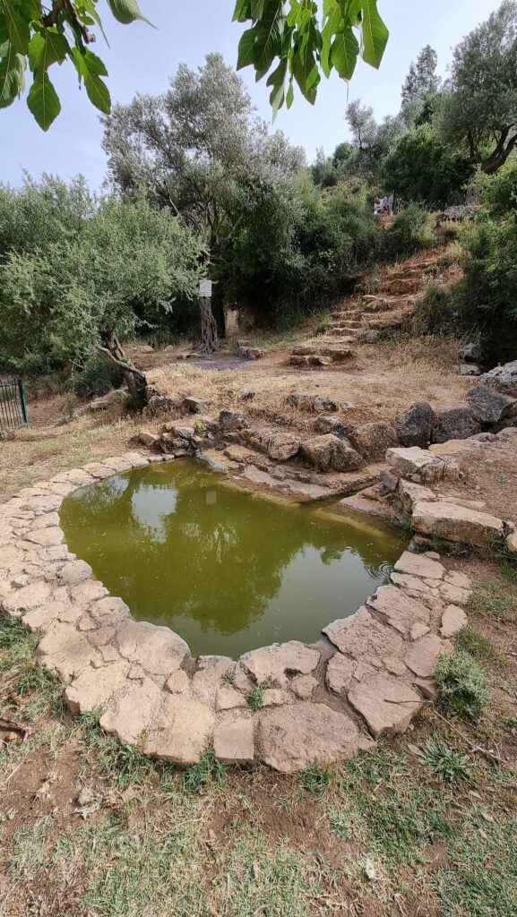 בריכה קטנה ורדודה עם מים ירקרקים גובלת באבנים שטוחות, מוקפת בדשא ובעצים. מדרגות אבן מובילות במעלה גבעה מכוסה שיחים ועצי זית תחת שמיים מעוננים.