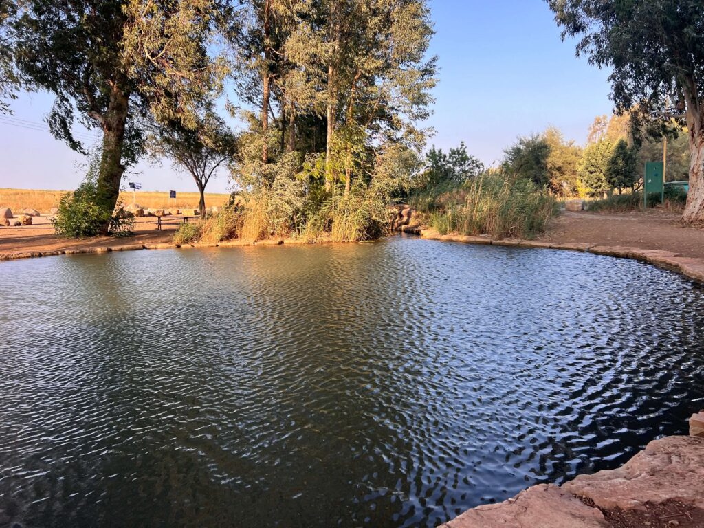 אגם קטן ושקט מוקף בעצים ועשב גבוה תחת שמיים כחולים וצלולים. המים מנופחים קלות, וברקע נראים שביל עפר ושדה שטוף שמש.