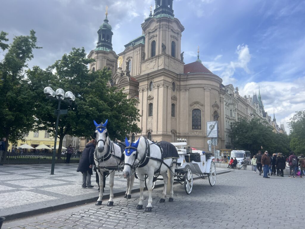 שני סוסים לבנים עם כיסויי ראש כחולים רתומים לכרכרה לבנה ברחוב מרוצף אבן, עם כנסייה היסטורית בצבע בז' ועצים ברקע. אנשים הולכים בקרבת מקום תחת שמיים מעוננים חלקית.