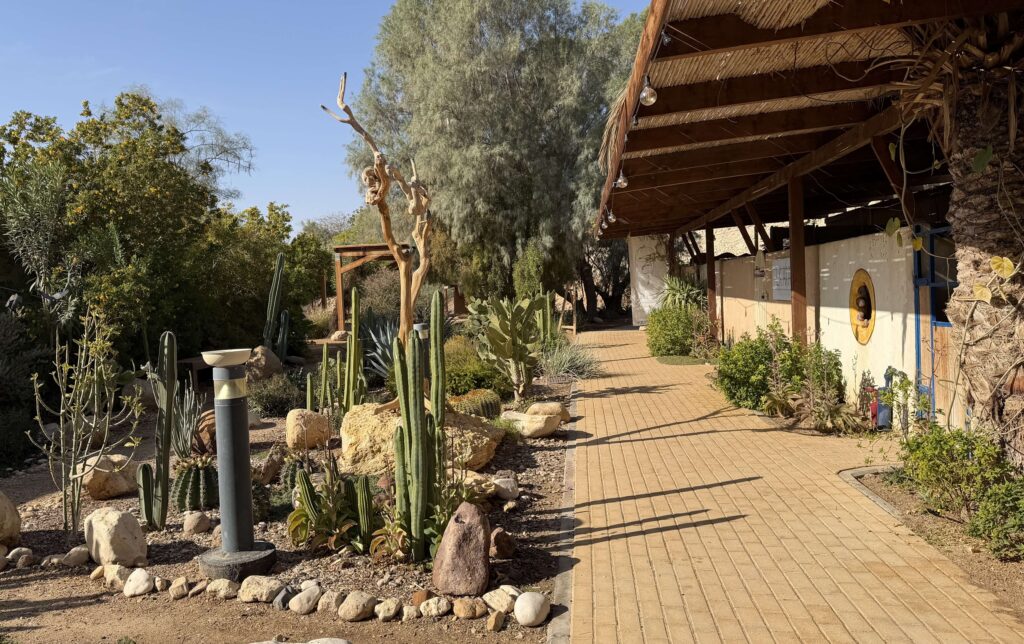 שביל מרוצף מוקף בצמחי מדבר וקקטוסים עובר לצד מבנה עם גג עץ, תחת שמיים כחולים וצלולים, בסביבה חיצונית דמוית גן – מושלם לחופשה בלב הערבה.