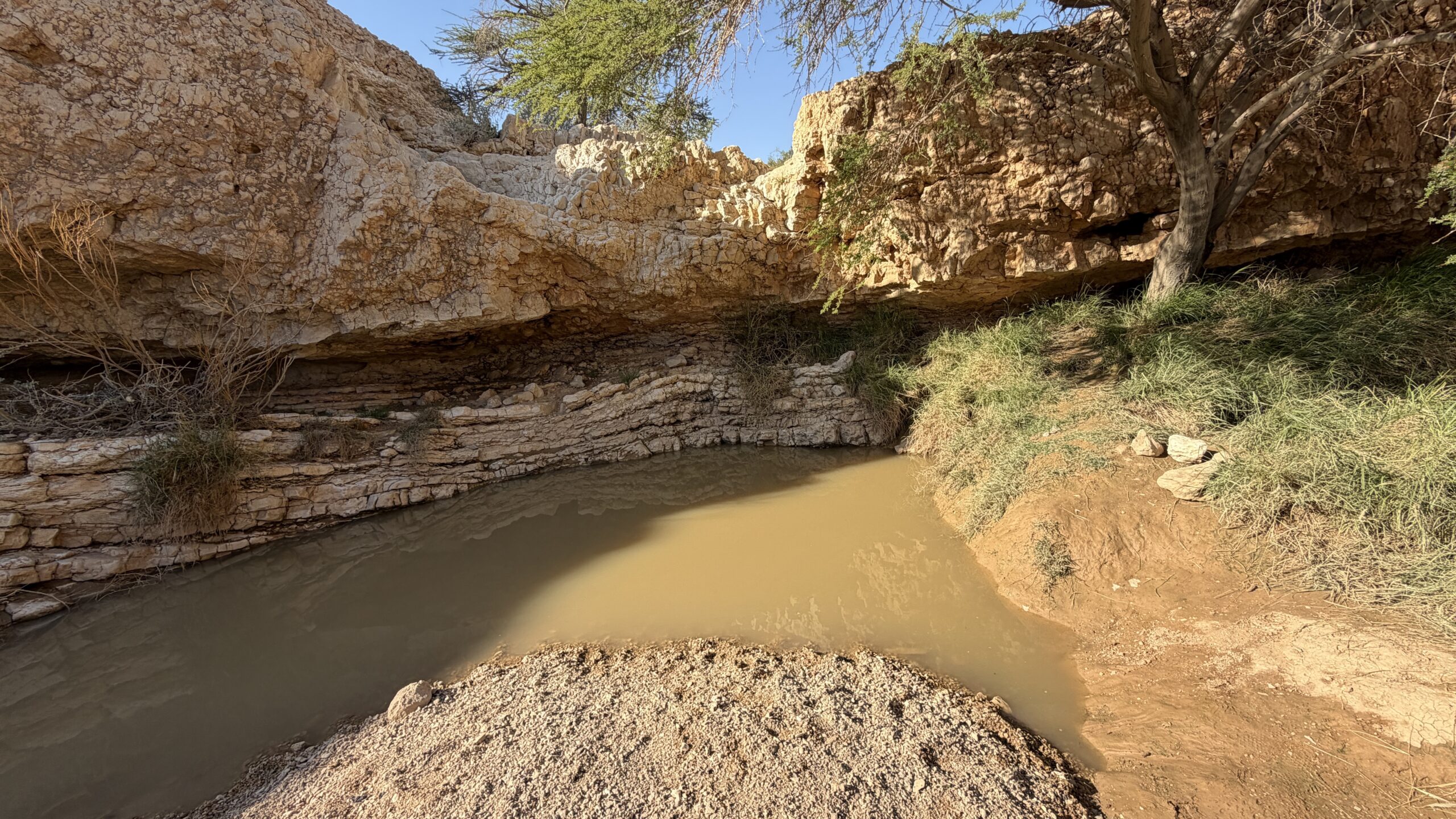 גב צופר במהלך טיול ג׳יפים בערבה