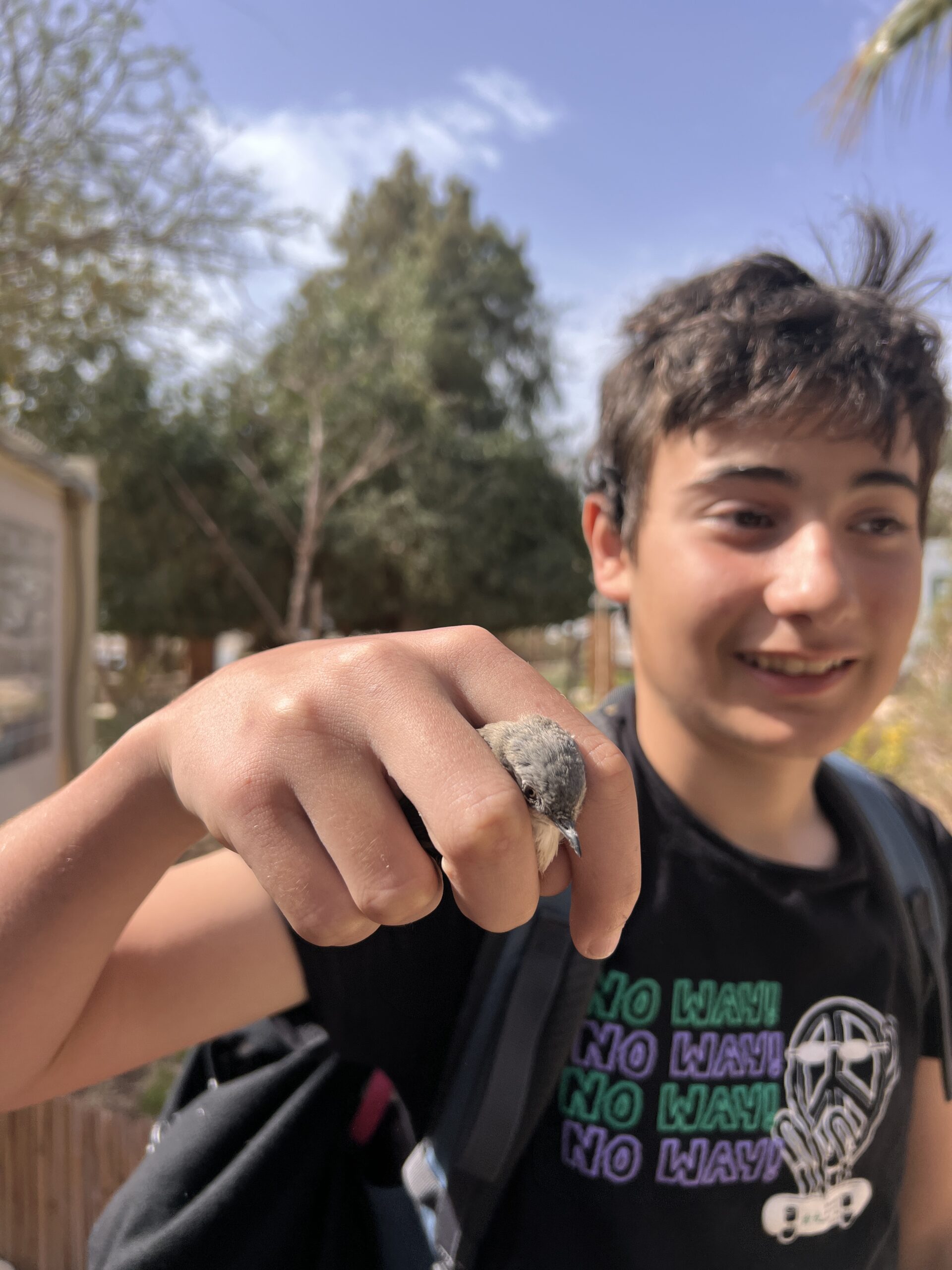 ילד מחזיק ציפור לאחר טיבוע בפארק הצפרות באילת