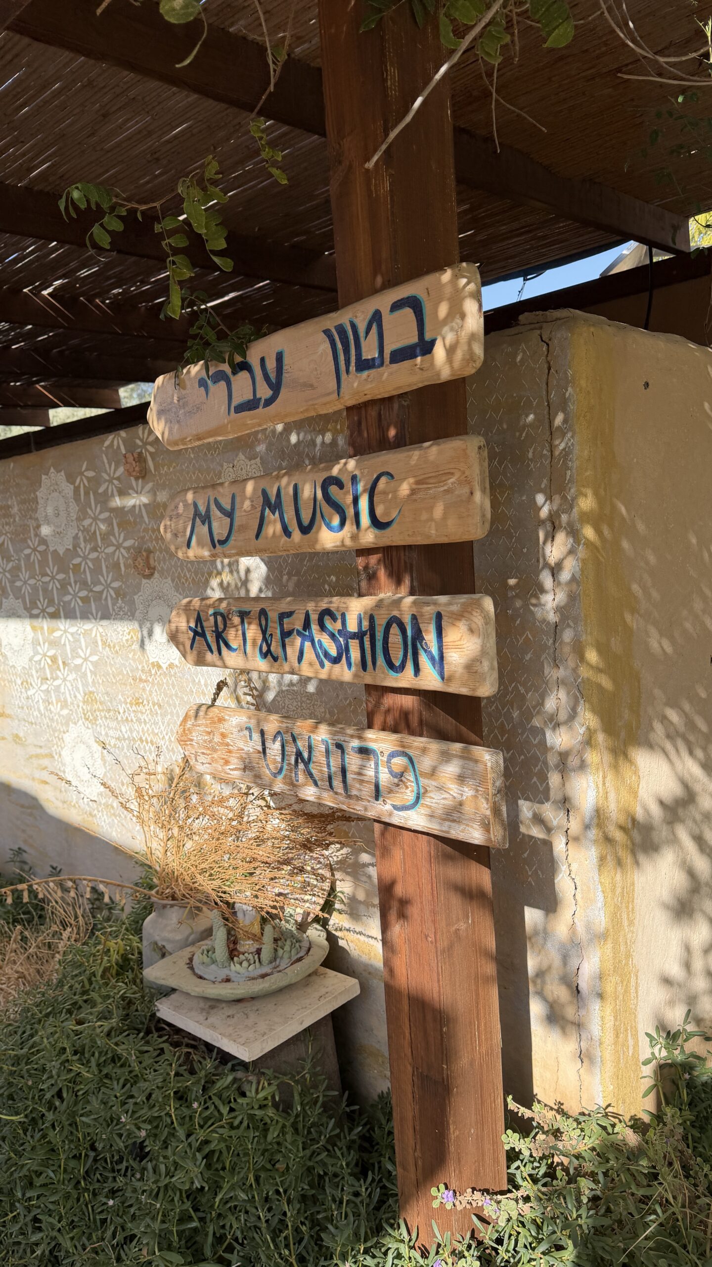 ביקור בכפר האמנים צוקים