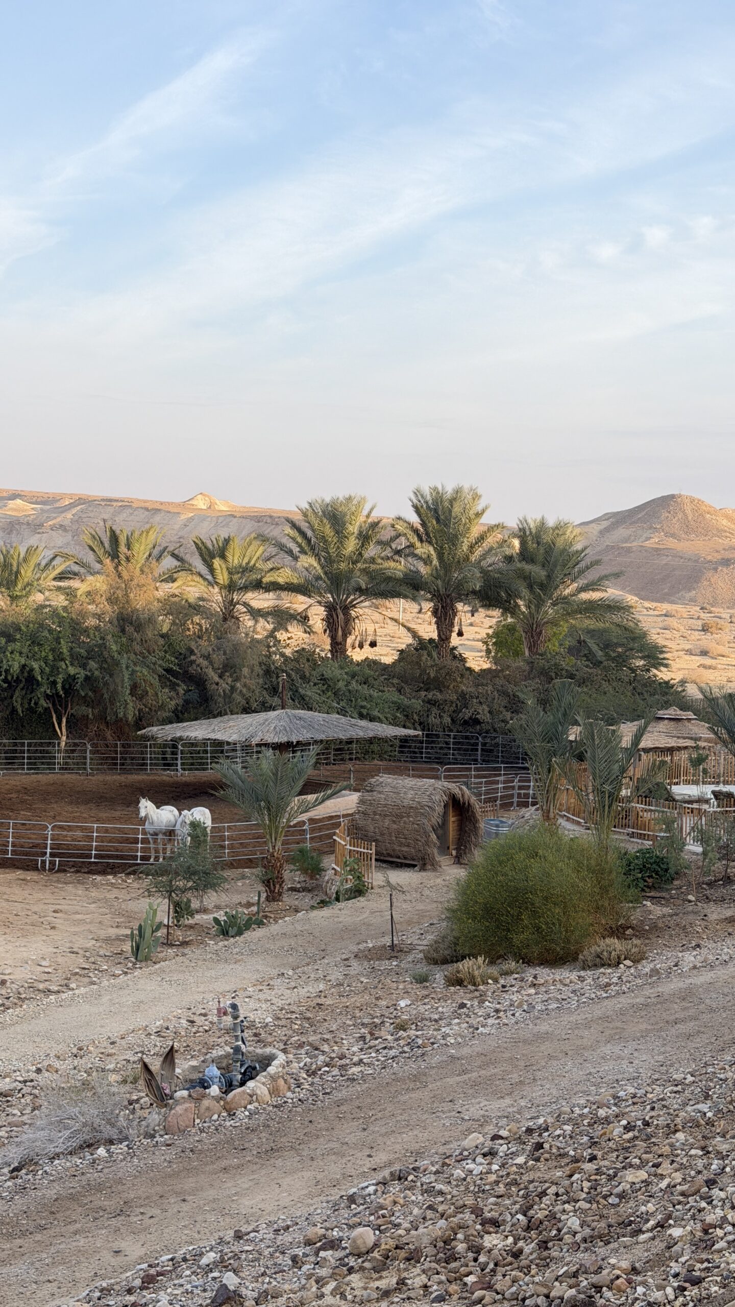 הנוף המדברי סביב נוף צוקים בערבה